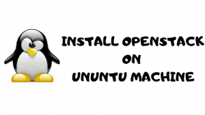 Read more about the article Install OpenStack on Ubuntu using Devstack on Ubunt
<span class="bsf-rt-reading-time"><span class="bsf-rt-display-label" prefix=""></span> <span class="bsf-rt-display-time" reading_time="4"></span> <span class="bsf-rt-display-postfix" postfix="min read"></span></span><!-- .bsf-rt-reading-time -->