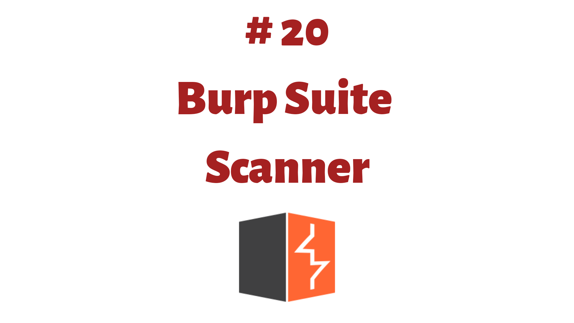 Read more about the article Scanner – Guide for Burp Suite