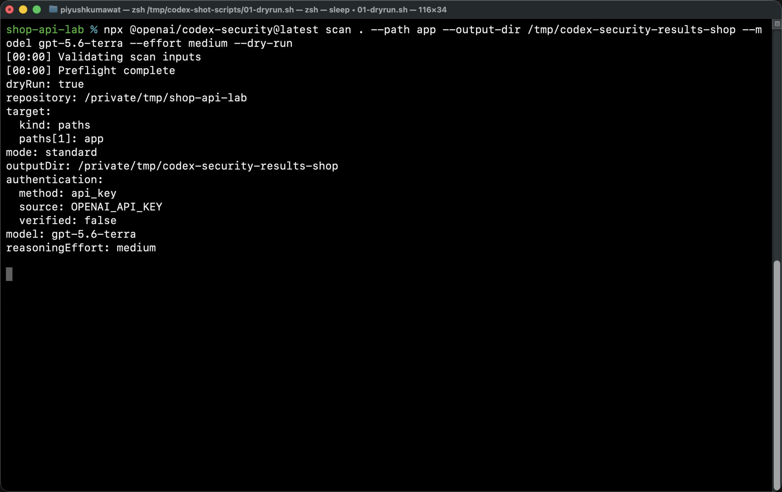 Dry-run of Codex Security against /tmp/shop-api-lab with gpt-5.6-terra medium effort