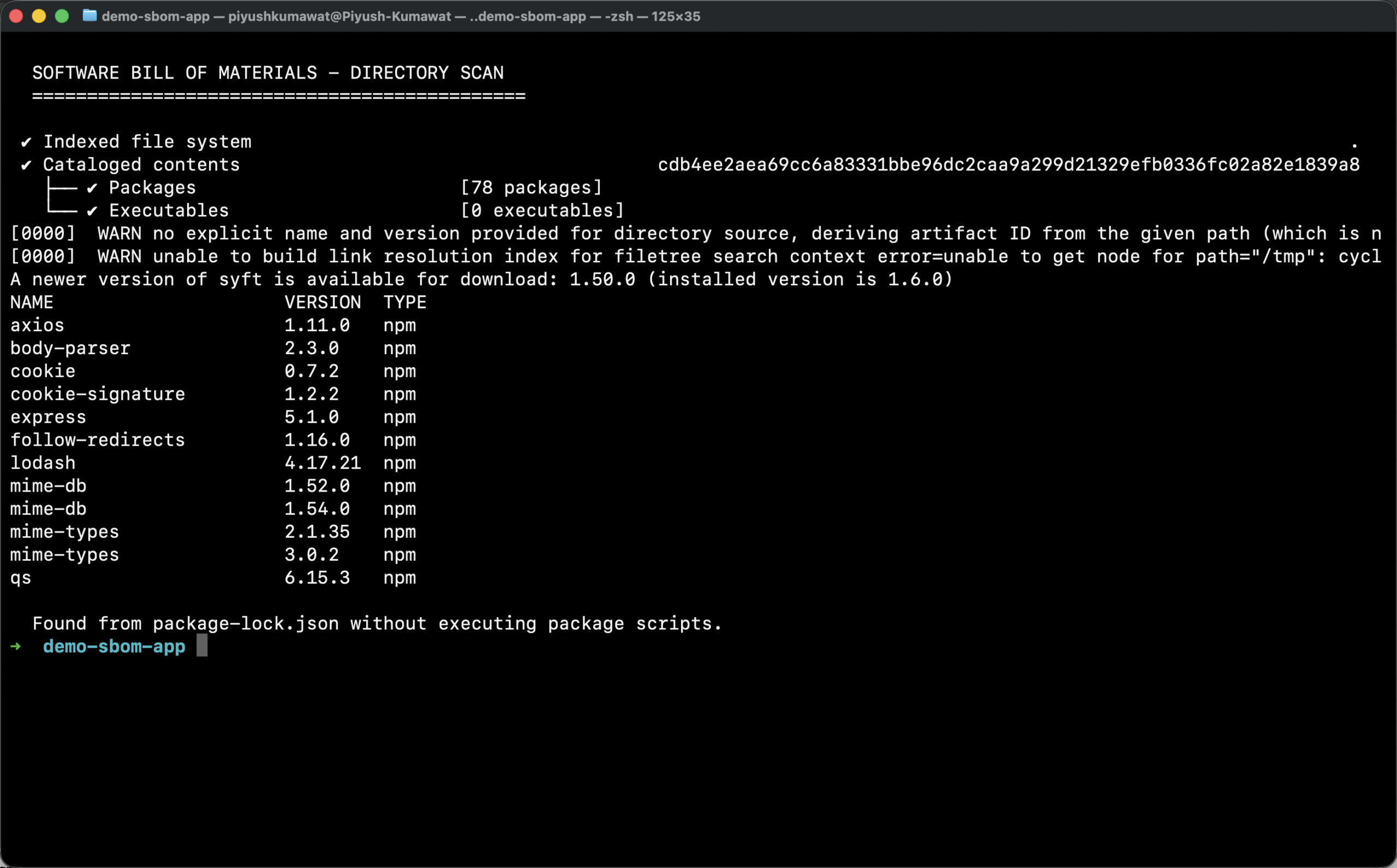 Terminal showing a real Syft scan of a Node.js directory and detected packages including axios, Express, Lodash, cookie, and qs