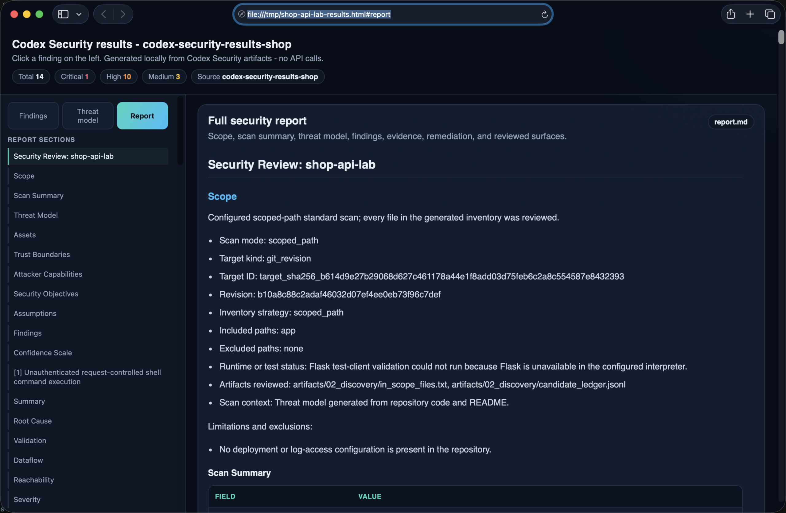 Rendered full Report tab with section navigation, scan summary table, findings, and remediation