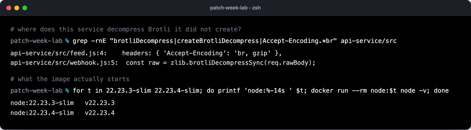 grep finding brotliDecompressSync and Accept-Encoding br in a Node service, then node -v inside two image tags