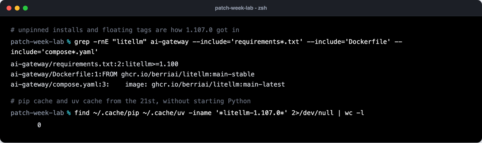 grep showing litellm>=1.100 in requirements.txt and main-stable / main-latest image tags, then a pip and uv cache search
