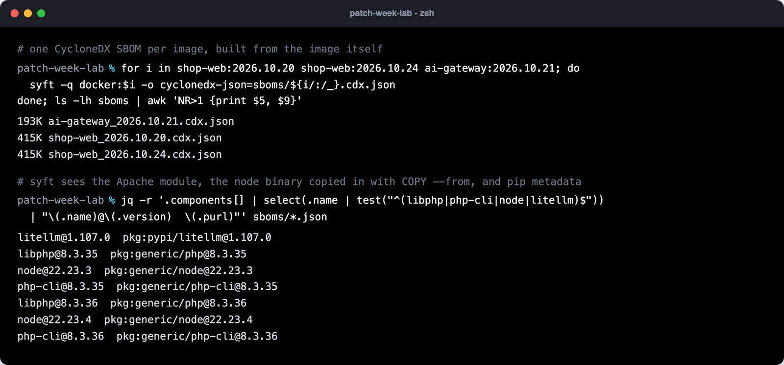 syft generating CycloneDX SBOMs for three images, then jq listing libphp, php-cli, node and litellm with versions and package URLs
