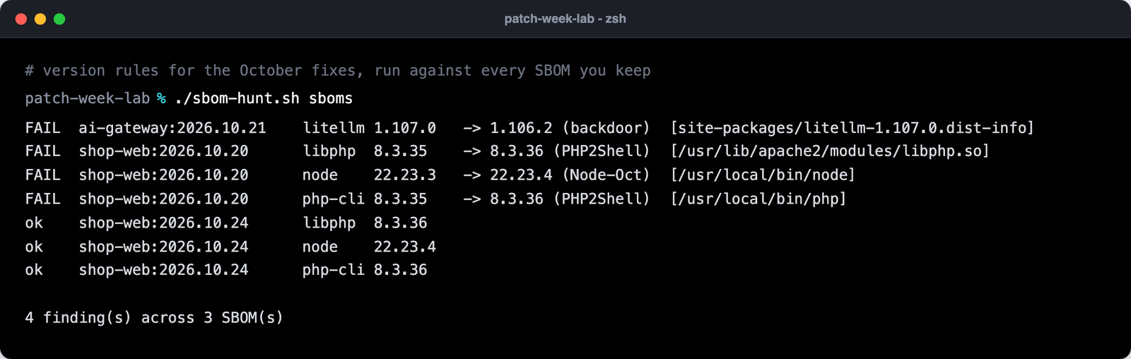 sbom-hunt.sh flags litellm 1.107.0, PHP 8.3.35 and Node 22.23.3 in older images and passes the patched image